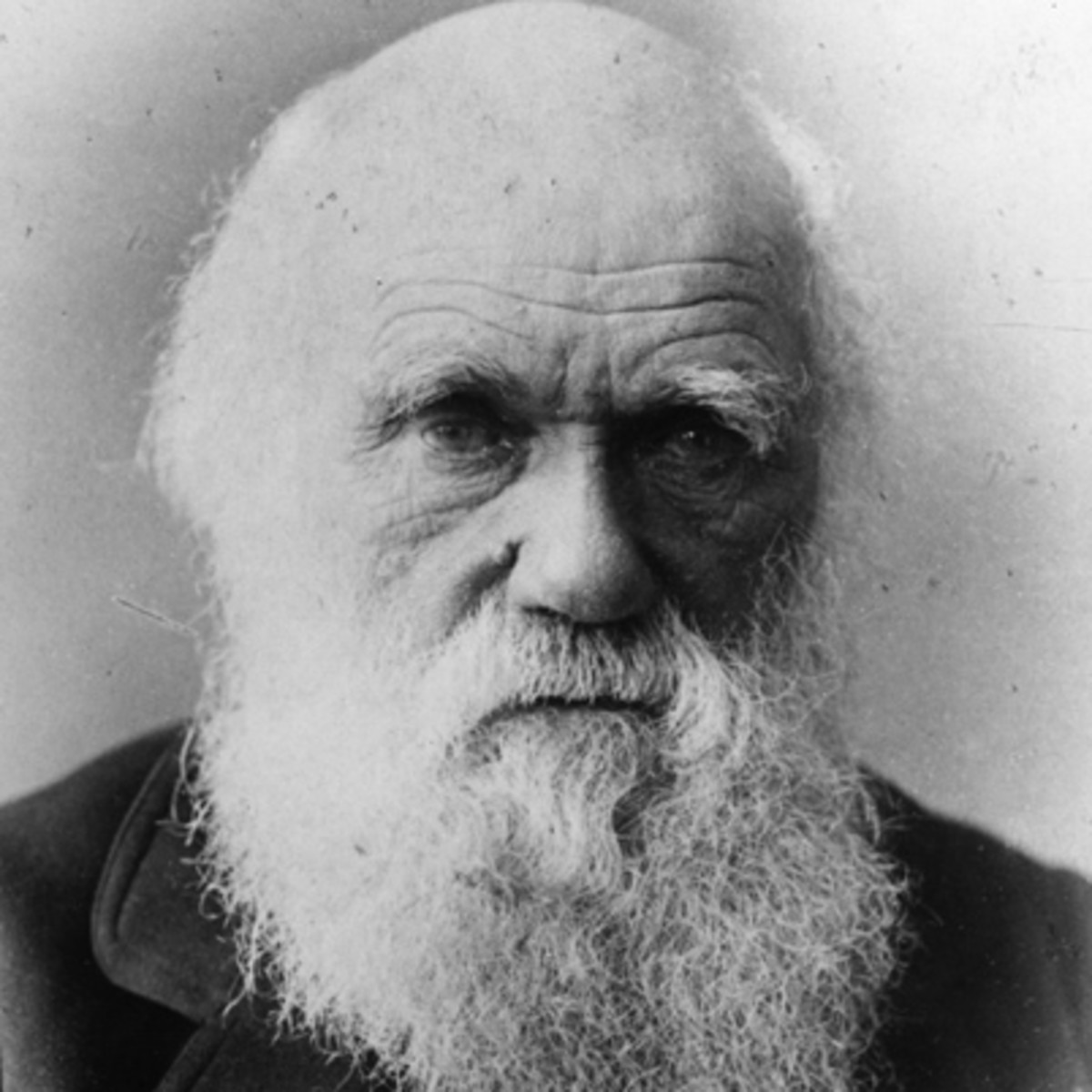 Darwin and his theory of evolution shook things up.